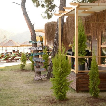Green Pine Bungalows & Beach Luxury Concept โอลลุนเดนิซ ภายนอก รูปภาพ