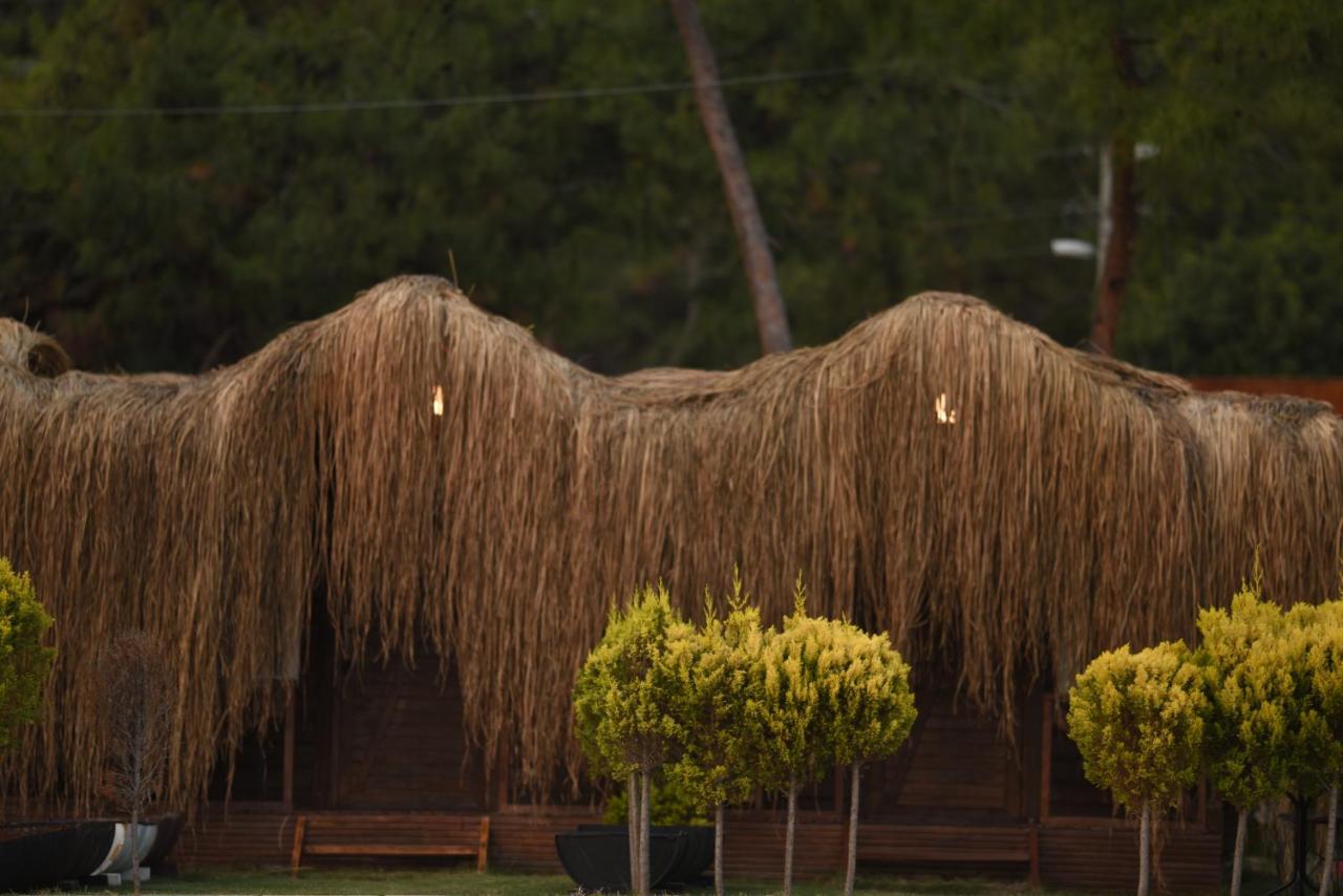 Green Pine Bungalows & Beach Luxury Concept โอลลุนเดนิซ ภายนอก รูปภาพ