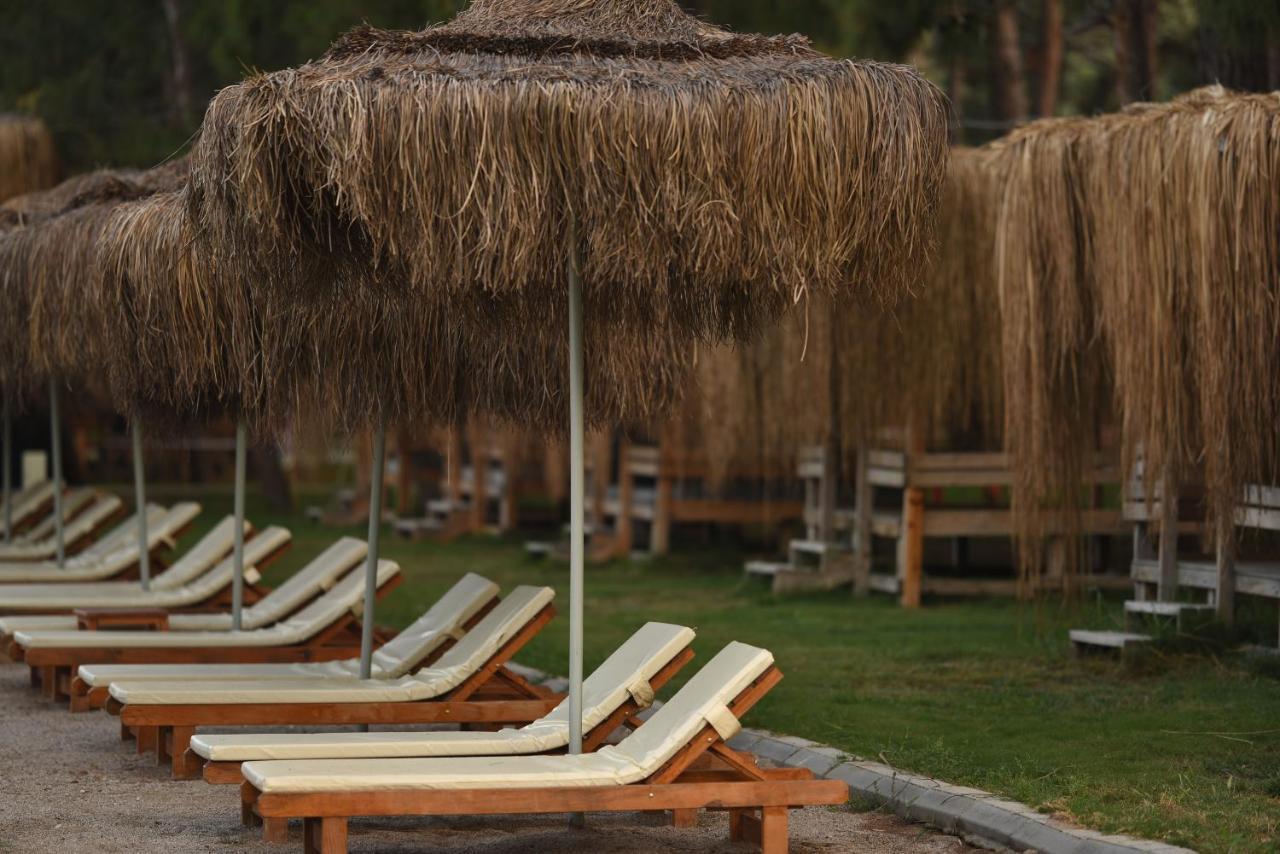 Green Pine Bungalows & Beach Luxury Concept โอลลุนเดนิซ ภายนอก รูปภาพ
