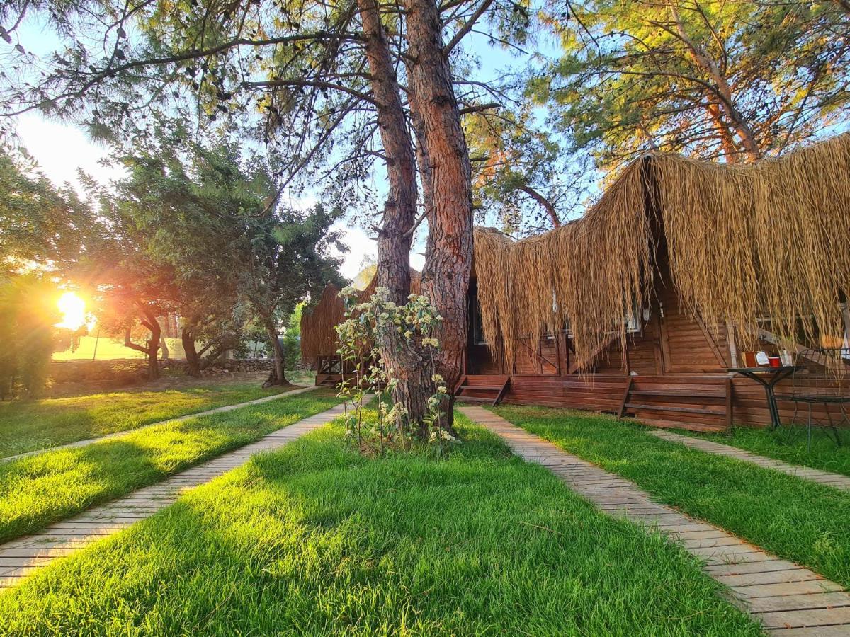 Green Pine Bungalows & Beach Luxury Concept โอลลุนเดนิซ ภายนอก รูปภาพ