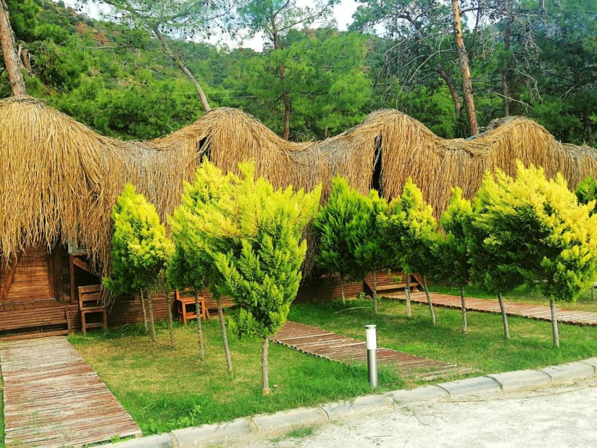 Green Pine Bungalows & Beach Luxury Concept โอลลุนเดนิซ ภายนอก รูปภาพ