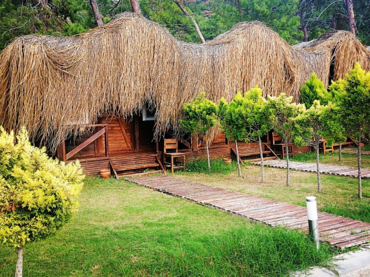 Green Pine Bungalows & Beach Luxury Concept โอลลุนเดนิซ ภายนอก รูปภาพ