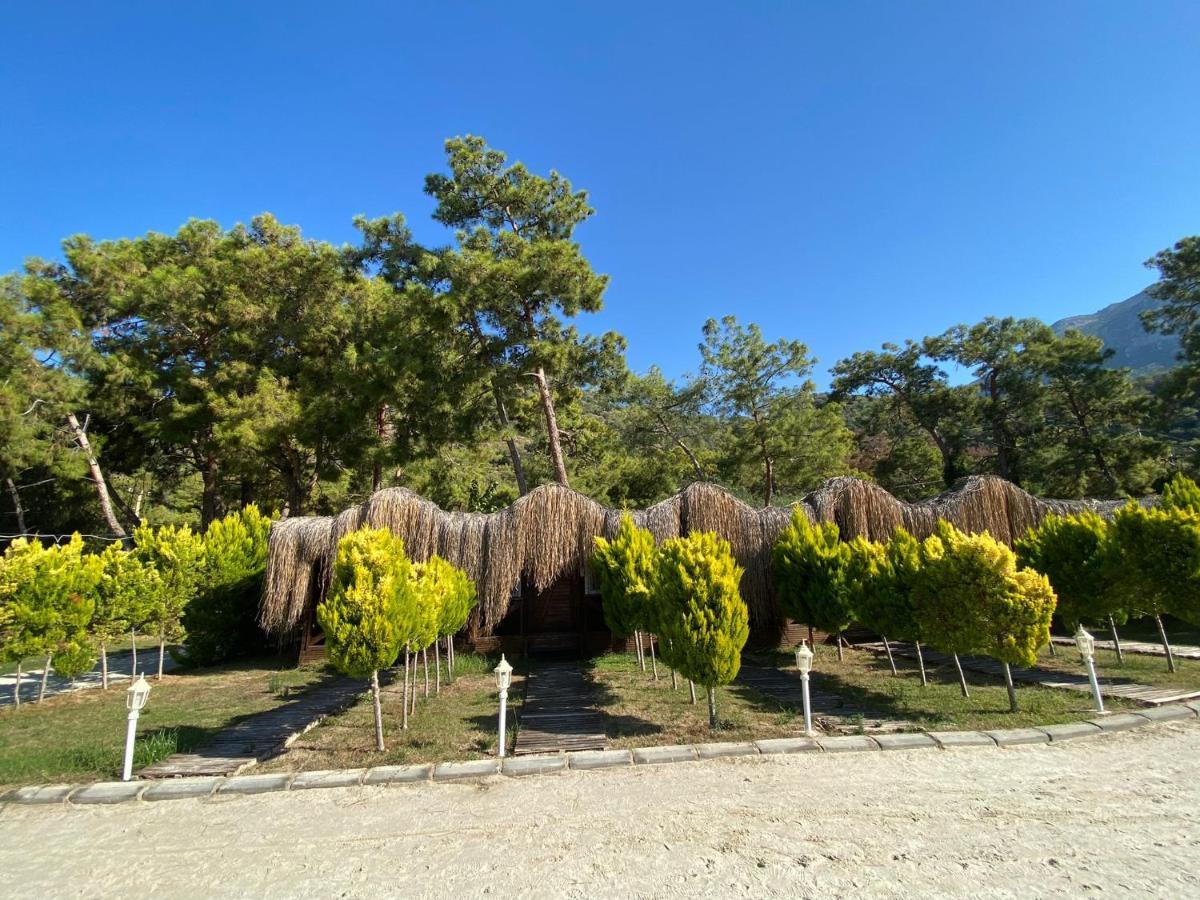 Green Pine Bungalows & Beach Luxury Concept โอลลุนเดนิซ ภายนอก รูปภาพ